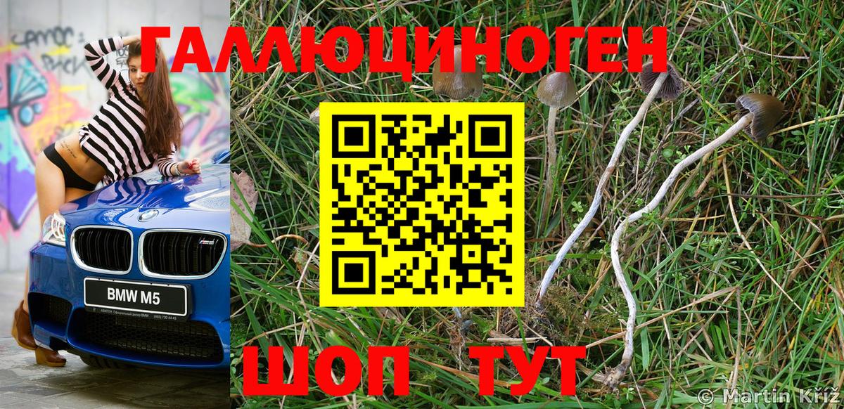 Галлюциногенные грибы Psilocybe  Вход с VPN  Галлюциногенные грибы Magic Shrooms  где купить наркоту  Канаш 